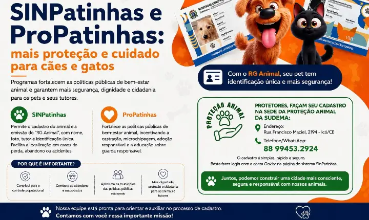 Cadastro “RG Animal” amplia identificação e proteção de cães e gatos em Icó