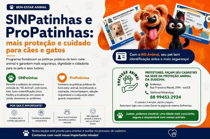 Cadastro “RG Animal” amplia identificação e proteção de cães e gatos em Icó