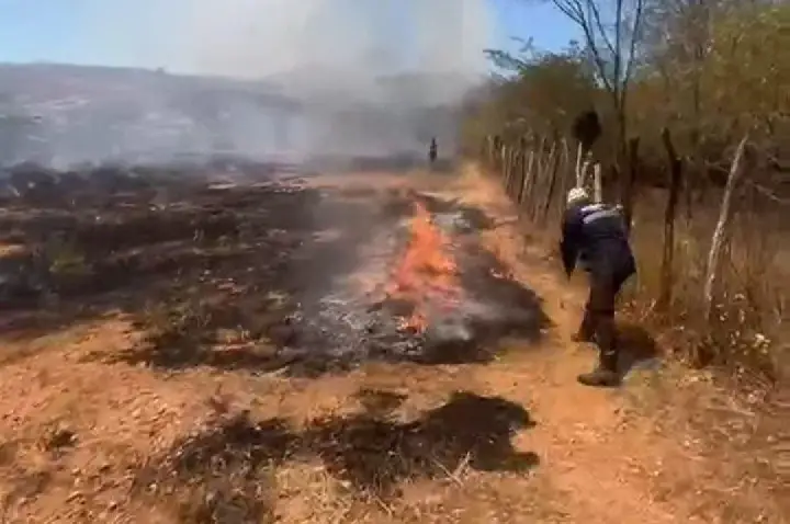 Incêndio de grandes proporções mobiliza bombeiros civis, militares e guarda municipal perto de viaduto em Icó