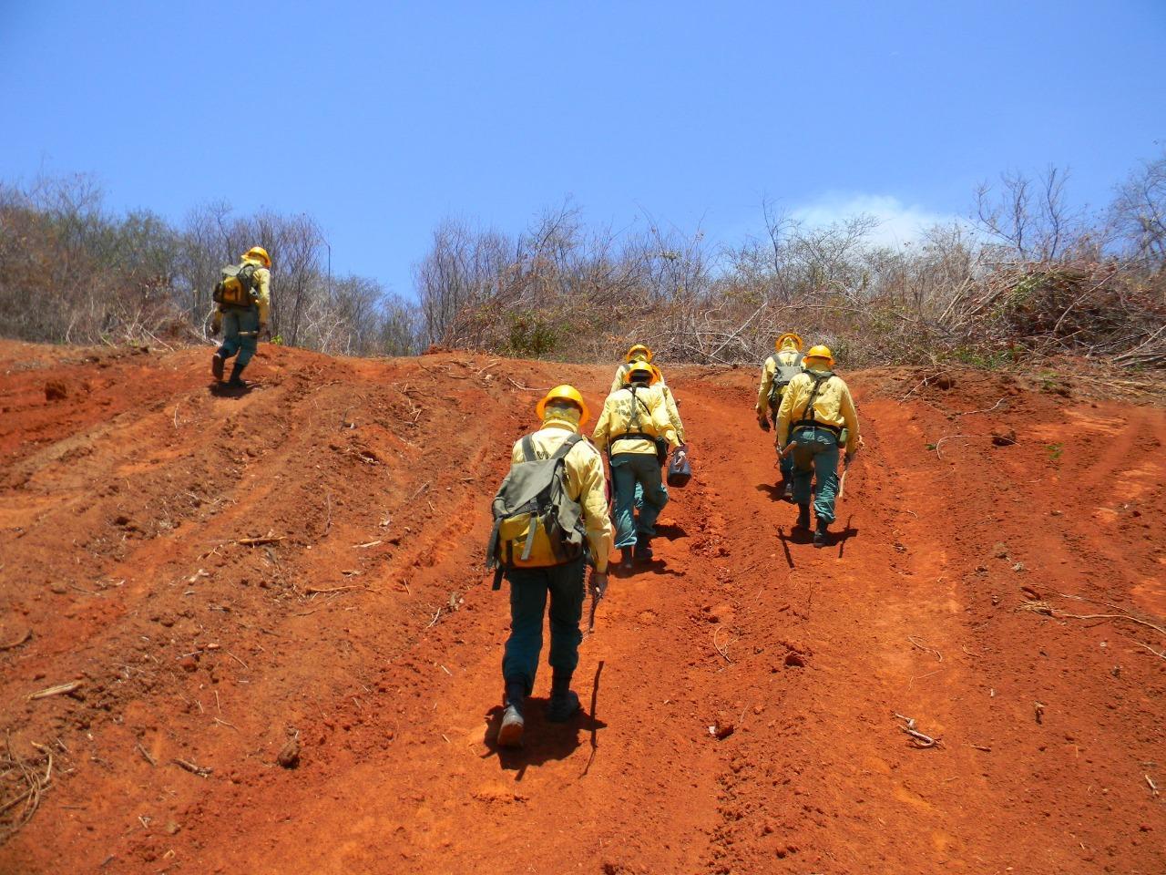 Jovens brigadistas irão reforçar combate aos incêndios florestais no Ceará