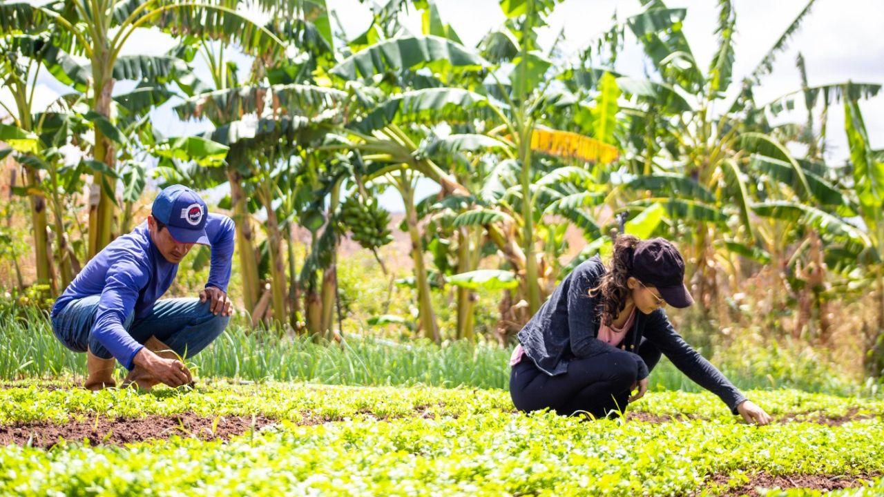 Projeto vai investir até R$ 4,5 milhões para jovens de 18 e 29 anos permenecerem no campo