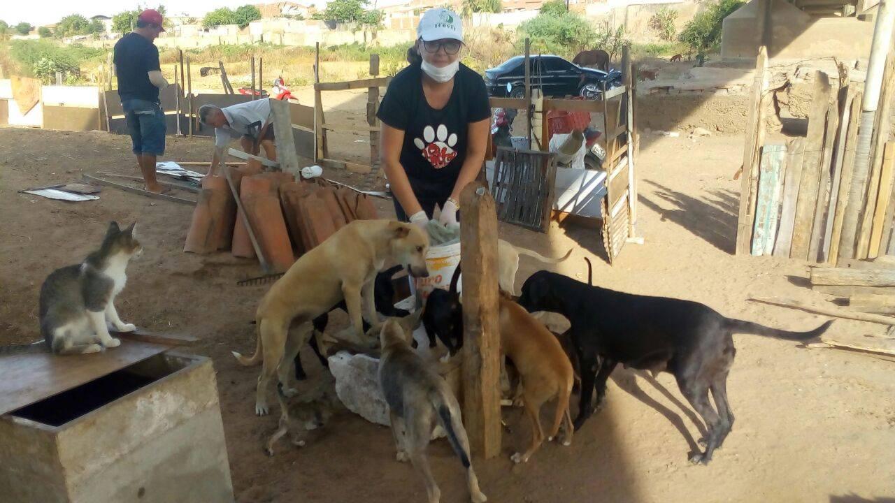 ONG É o Bicho em Icó realiza campanha para manter alimentação dos animais