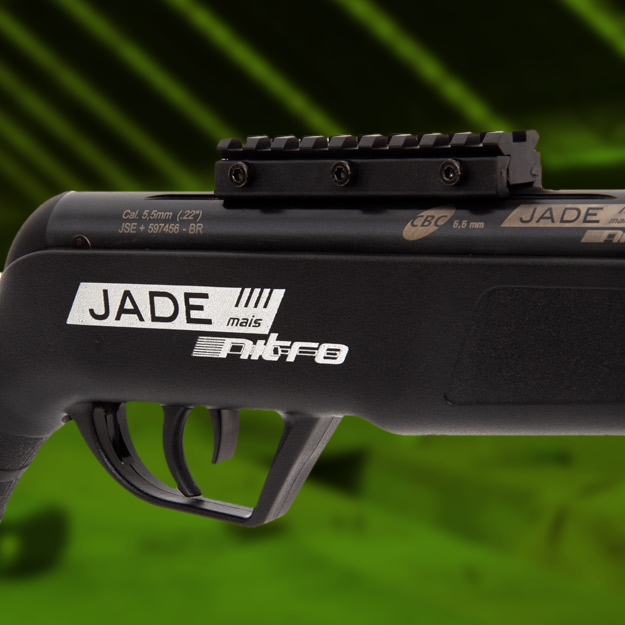 Homem mata gato de estimação com arma de pressão em Icó