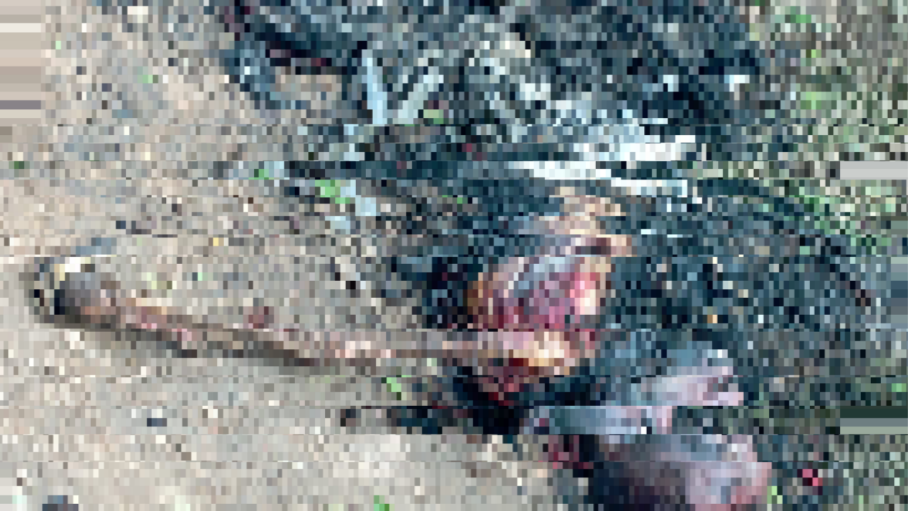 Corpo carbonizado é encontrado com pés amarrados em Icó