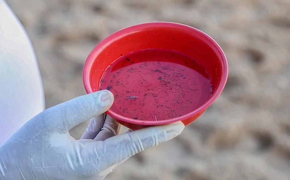 Ceará já soma 16 mortes por chikungunya em 2022; 20 cidades têm incidência muito alta da doença