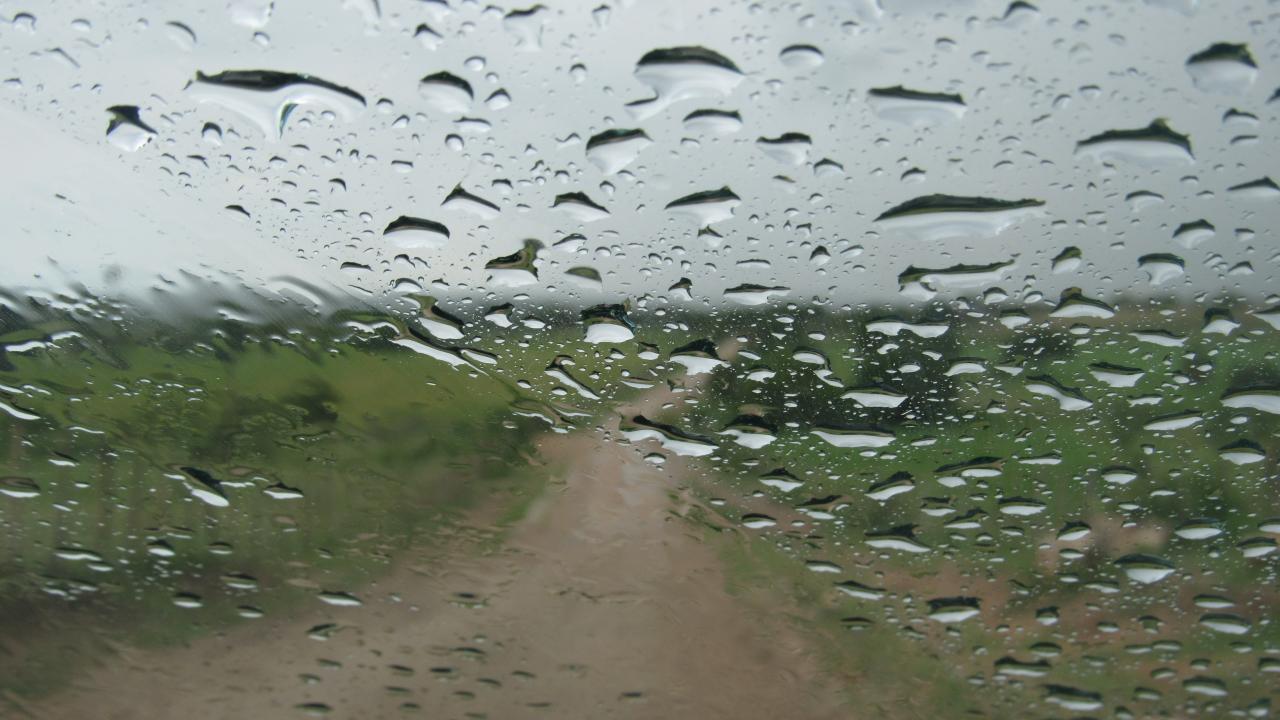 Cerca de 70 municípios cearense registram chuvas entre quinta (3) e sexta-feira (4)