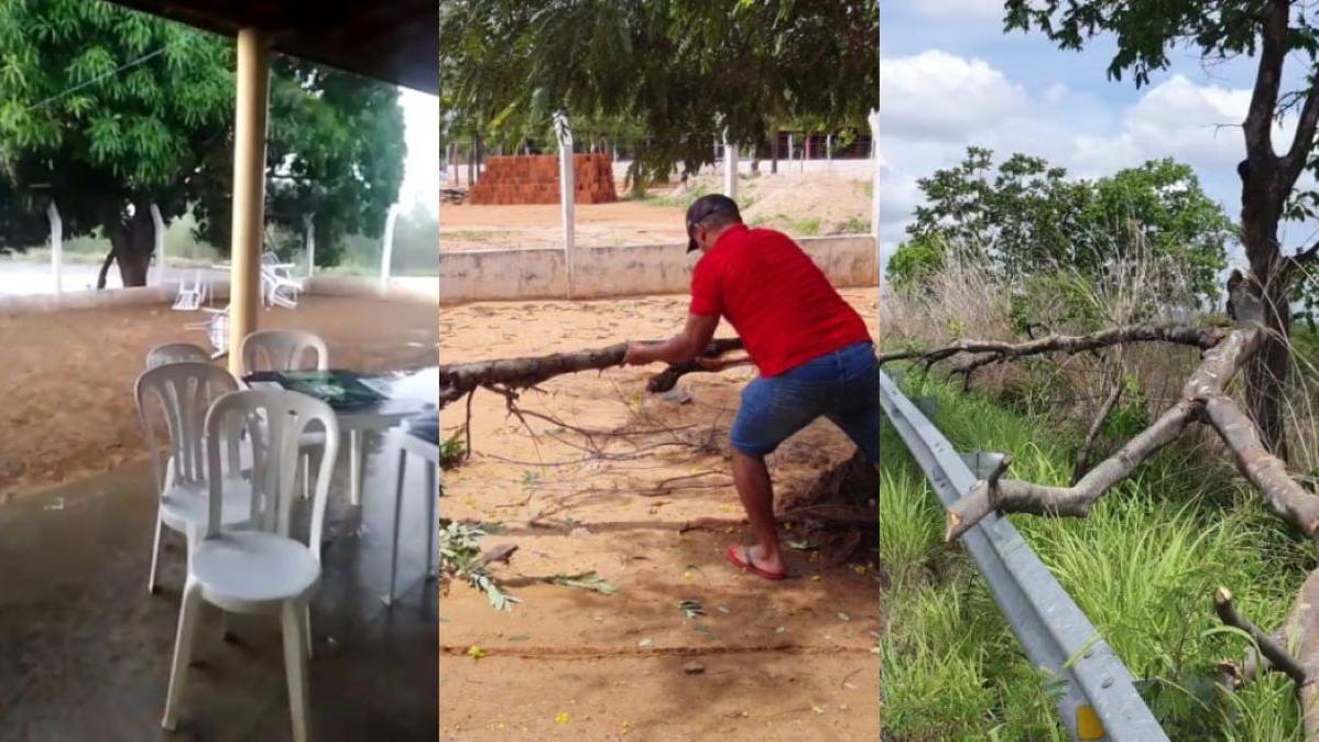 Ventania causa falta de energia, queda de árvores e acidente em Cedro/Ceará