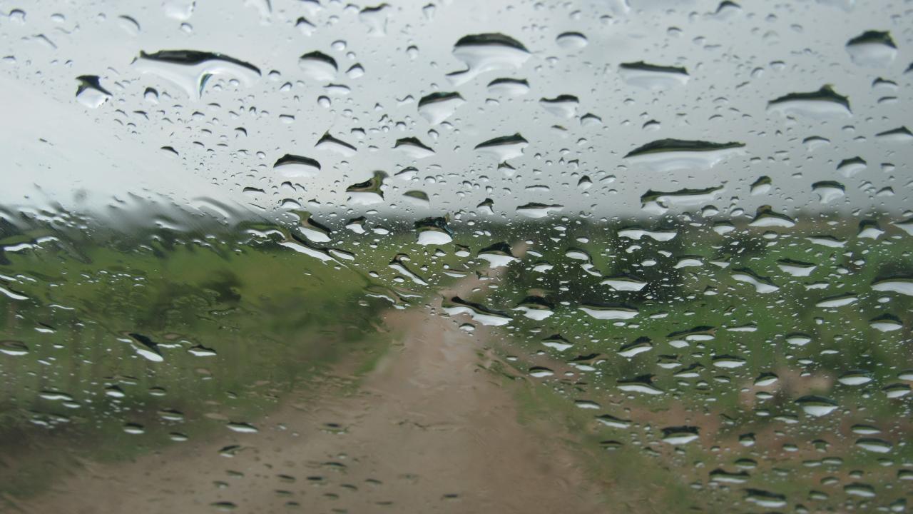Saiba quais cidades do Ceará já receberam mais de 100 milímetros de chuva em 2023