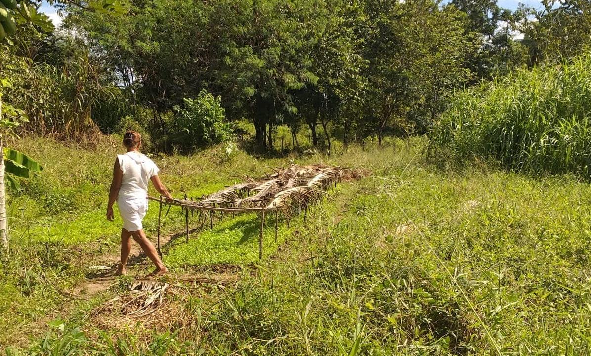 O Projeto da Associação de Mulheres de Lima Campos/Icó foi aceito no São José IV - Produtivo