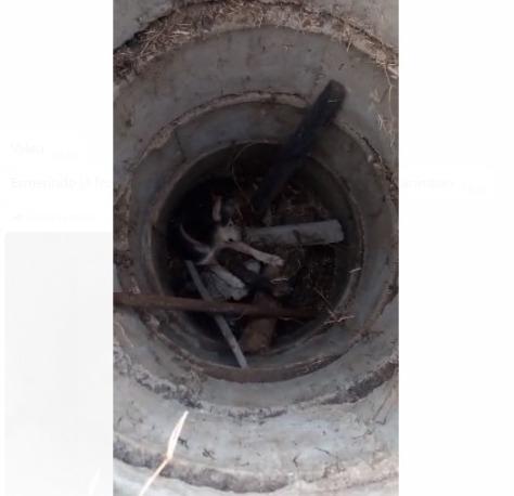 Cachorro é resgatado após cair em poço no Conj. Gama em Icó