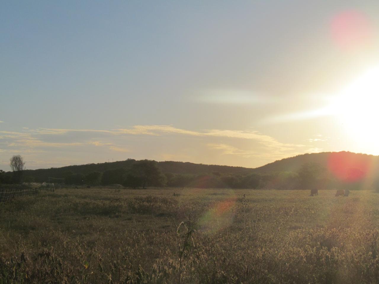 Ceará deve registrar altas temperaturas nas próximas 24h