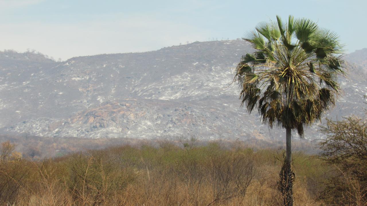 Ceará se mantém sem seca relativa pelo 4º mês consecutivo