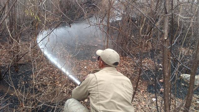 Onda de incêndios atinge o Cariri com 46 focos ativos
