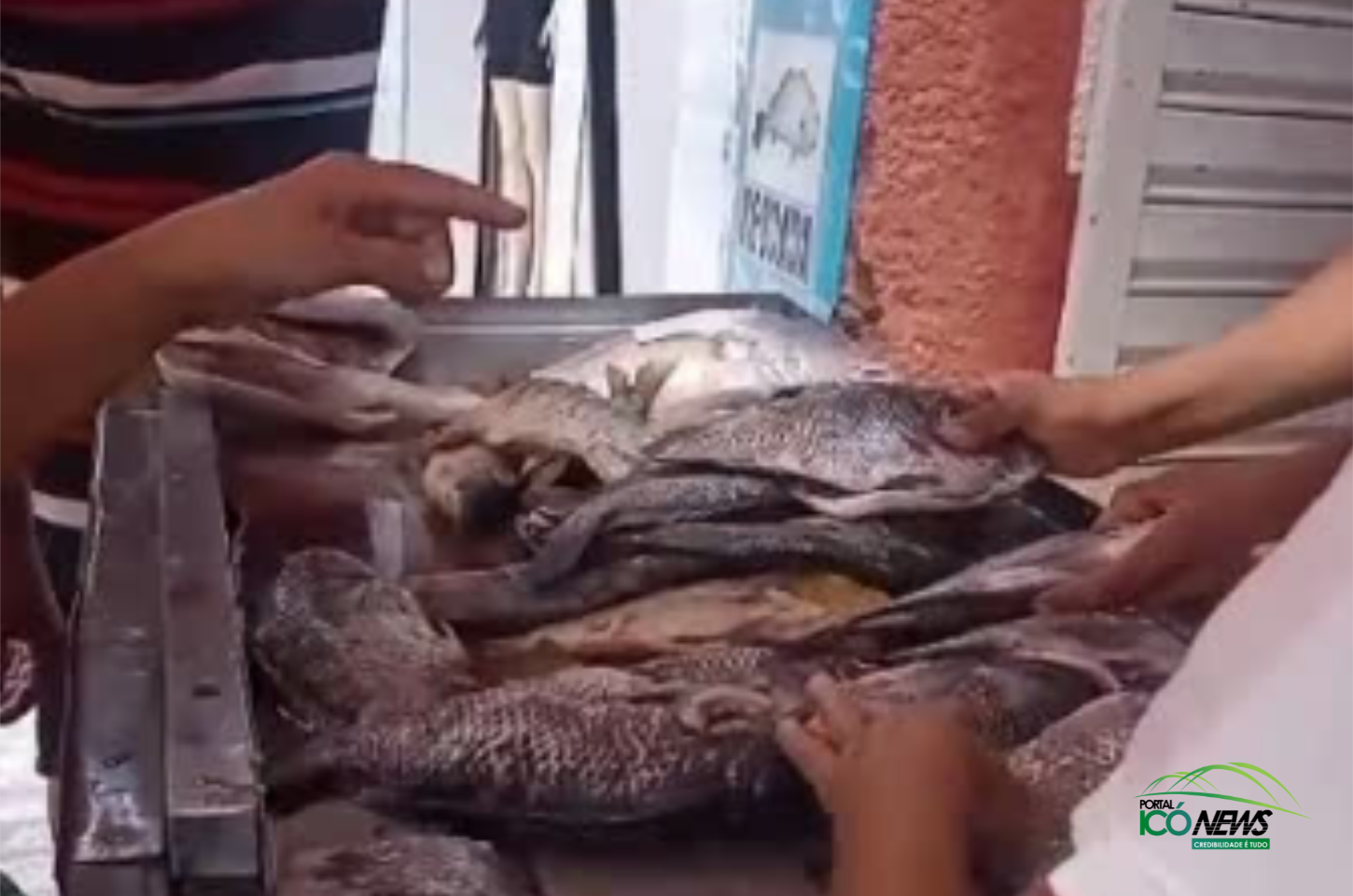 Aumento do consumo de peixe na Semana Santa: Tradição religiosa impulsiona procura em Icó