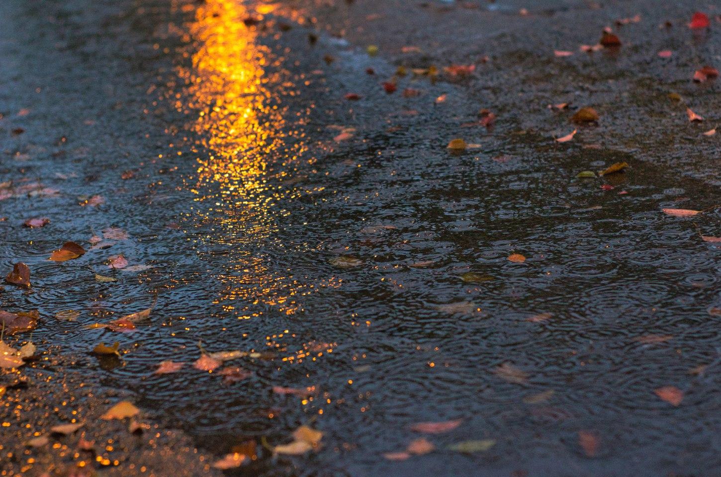 Várzea Alegre registra a maior chuva em 24 Horas no Ceará; Veja a Previsão do Tempo