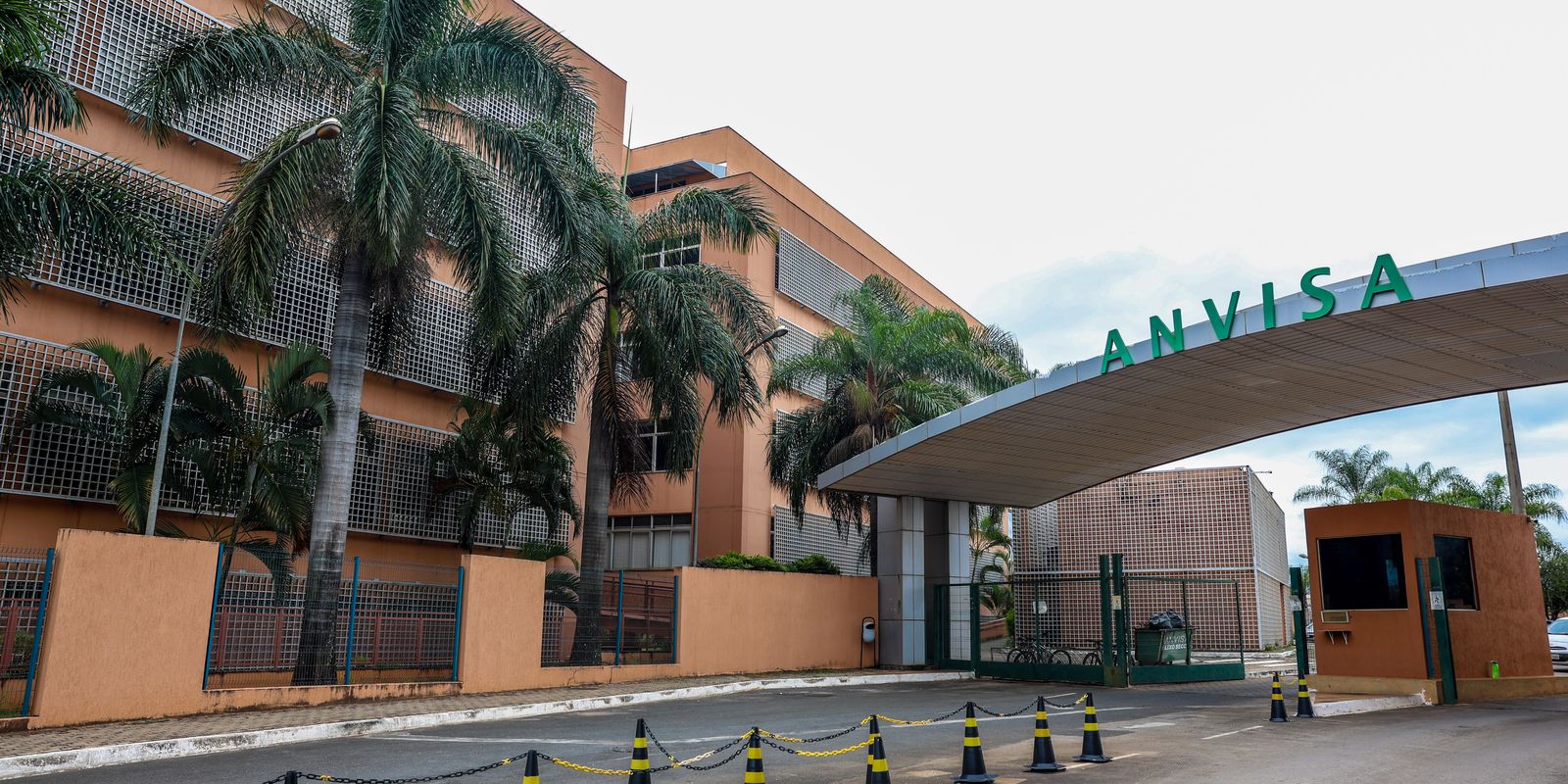 Anvisa aprova novo medicamento para tratar fenilcetonúria