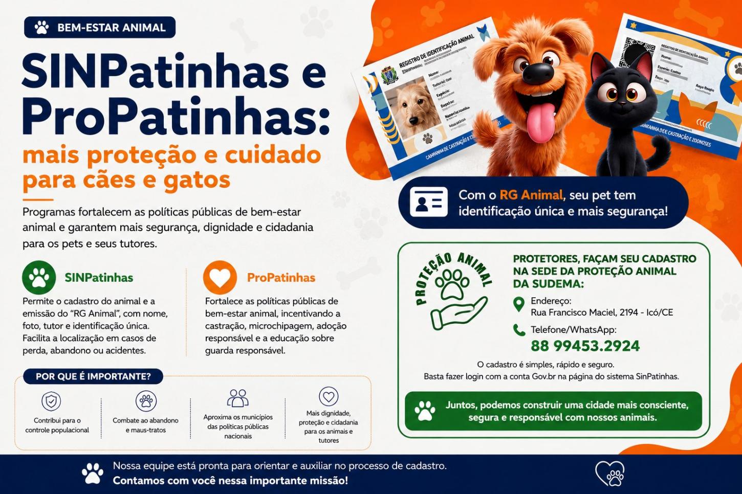 Cadastro “RG Animal” amplia identificação e proteção de cães e gatos em Icó