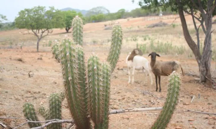 Ceará deve enfrentar forte déficit hídrico e calor acima da média até outubro